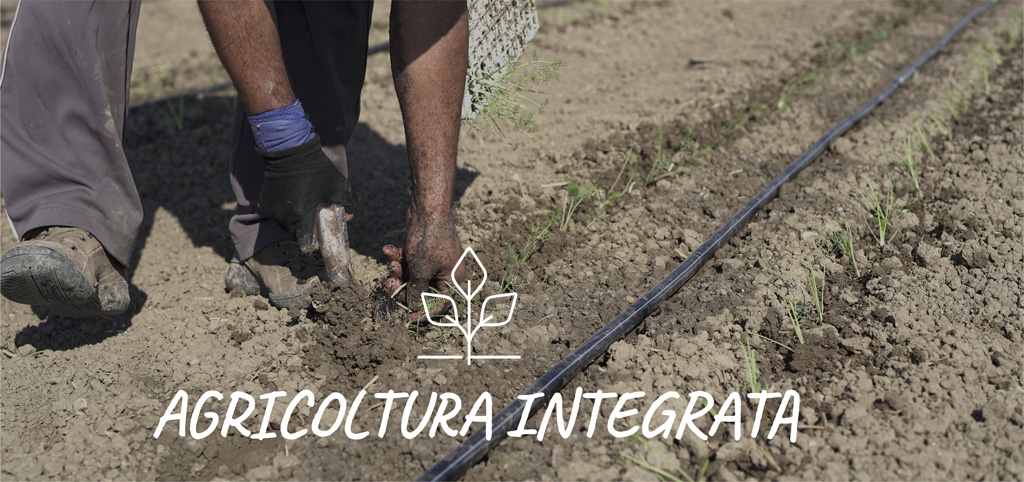 agricoltura_integrata